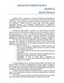 SUPUESTO PRÁCTICO Nº1