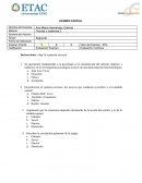 Examen de teorias y sistemas