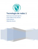 Estudio de la empresa El NANDAIMEÑO S.A.