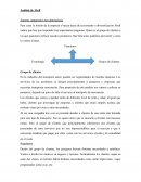 Análisis de Abell Entorno competitivo tres dimensiones