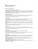 Resumen Analisis Economico ¿Cómo estamos? Limitaciones en los indicadores