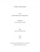 Economia El Servicio desde el Ver, Servir, Juzgar, Actuar