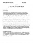 Practica 2 La Tarea de selección de Wason