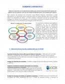 GOBIERNO CORPORATIVO Elementos Estructurales establecidos por la OCDE