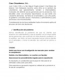 Actividad de negocios, Caso Crisantemos, S.A