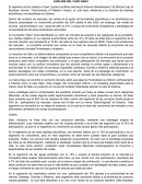 ANALISIS DEL CASO SAKU