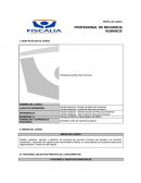 PROFESIONAL DE RECURSOS HUMANOS
