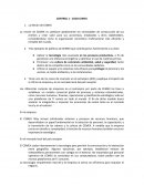 CONTROL 1 - CASO CEMEX