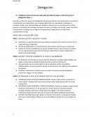 Delegación: Fases del proceso adecuado que debe de seguir un directivo para la delegación eficaz