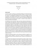 La utilización de fertilizantes orgánicos aumenta la productividad en el cacao