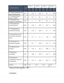 Matriz de Perfil Competitivo - MPC