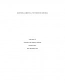 AUDITORIA AMBIENTAL Y REVISION DE GERENCIA