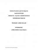 CASO DE ESTUDIO PRODUCTO: CULTIVO Y EXPORTACION DE ESPARRAGOS FRESCOS