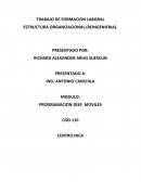 ESTRUCTURA ORGANIZACIONAL (REINGENIERIA)