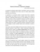 Sistemas de Información, Organización y Estrategia