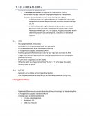 Anatomía, Eje adrenal.