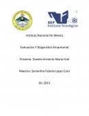 Evaluación Y Diagnostico Empresarial