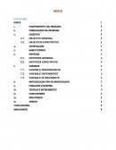 Formato de trabajo de inves