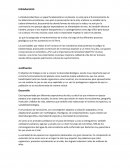 Ensayo de la biodiversidad