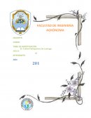 REQUERIMIENTO DEL PH PARA EL CULTIVO HIDROPÓNICO DE LECHUGA