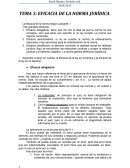 EFICACIA DE LA NORMA JURÍDICA.