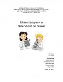 El microscopio y la observación de células