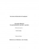 Estrategias didácticas. Una oportunidad para aprender a aprender