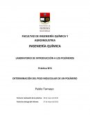 Determinacion de plástico por DSC