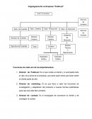 ORGANIGRAMA DE LA EMPRESA “PubliLed”
