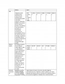 Comparacion Japon Bolivia