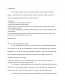 Anatomia- miembro superior