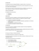 Concepto de el Metbolismo