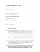 Trabajo observacional. Para observar el desarrollo psicomotriz me fui al parque con mi sobrino Oier