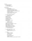 Primer parcial de criminología