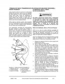 FRENOS DE DISCOS TRASEROS DE VELOCIDAD DE INDUCIDO