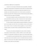 LOS TIPOS DE AMBIENTE EN EL MARKETING