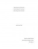 Ensayo James Knox Paul