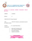 PROYECTO: Fabricación y comercialización de adornos con materiales reciclables