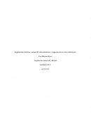 Reglamentos internos, sistema de subcontratación y empresas de servicios transitorios