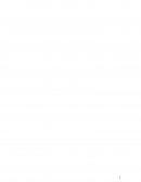 LOS COMPROBANTES DE PAGO