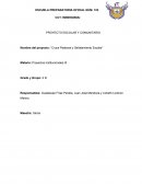 Cruce Peatonal y Señalamiento Escolar