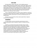 Infromes Garfologicos