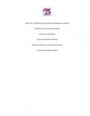 ENSAYO DRONES LOGISTICA