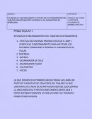 TRABAJA EN FORMA Y PARTICIPÁ COLABORA DE MANERA AFECTIVA