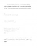 ¿Que tuvo de especial Leonardo Da Vinci en su vida pero en especial en el arte, que ha hecho que se convierta en el objeto de estudio de muchos investigadores, científicos y críticos del arte?