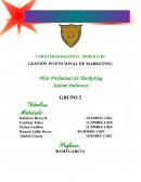 Plan preliminar salami super especial induveca