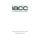 De los actos de comercio, obligaciones y contratos. Legislación laboral y comercial