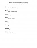 Disección de un Ratón