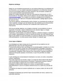 Objetivos dela Compañia Mango