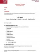 Desarrollo fonológico infantil: Procesos de simplificación